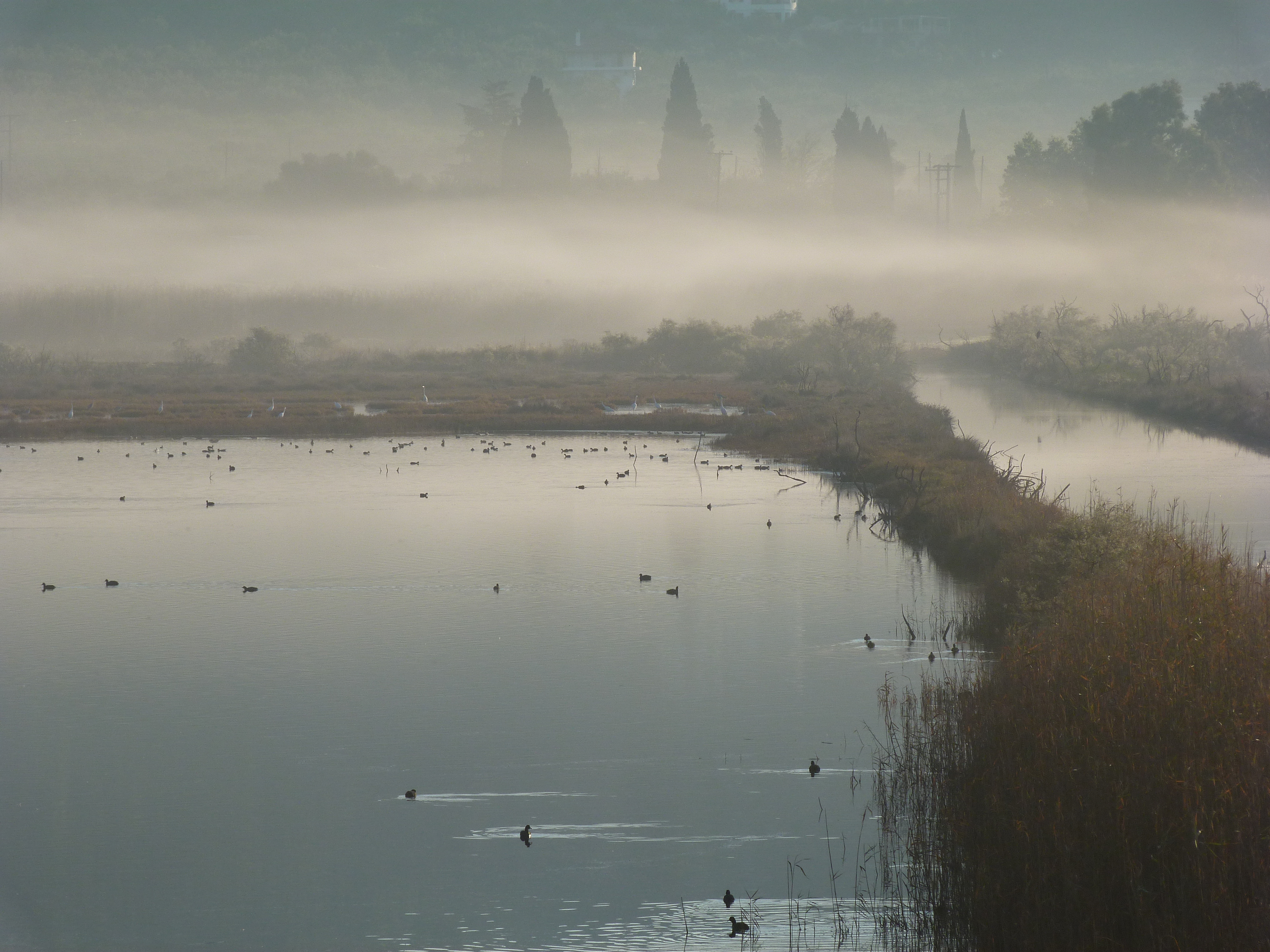 An improvement of the environmental status of the Gialova wetland