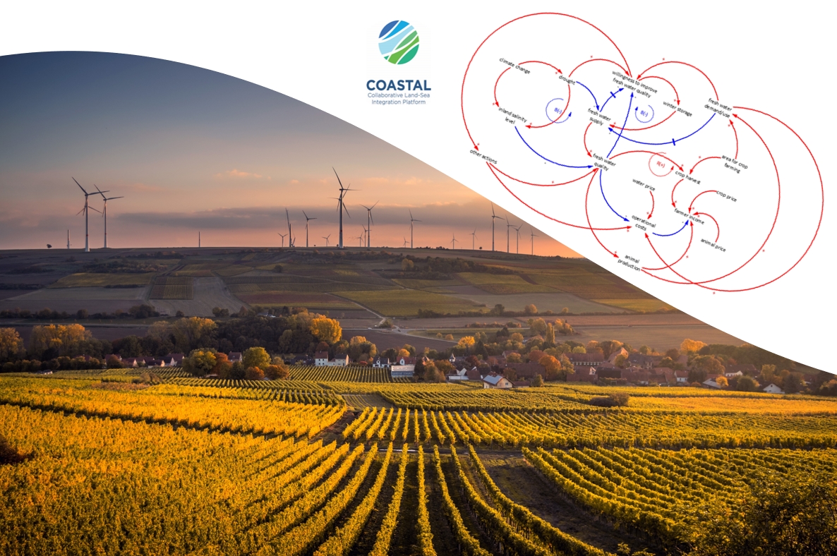 Deliverable D12 Model Scope and Feedback Structure