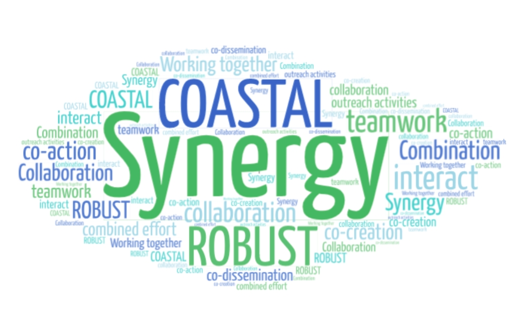 ROBUST - COASTAL: LOOKING FOR SYNERGIES