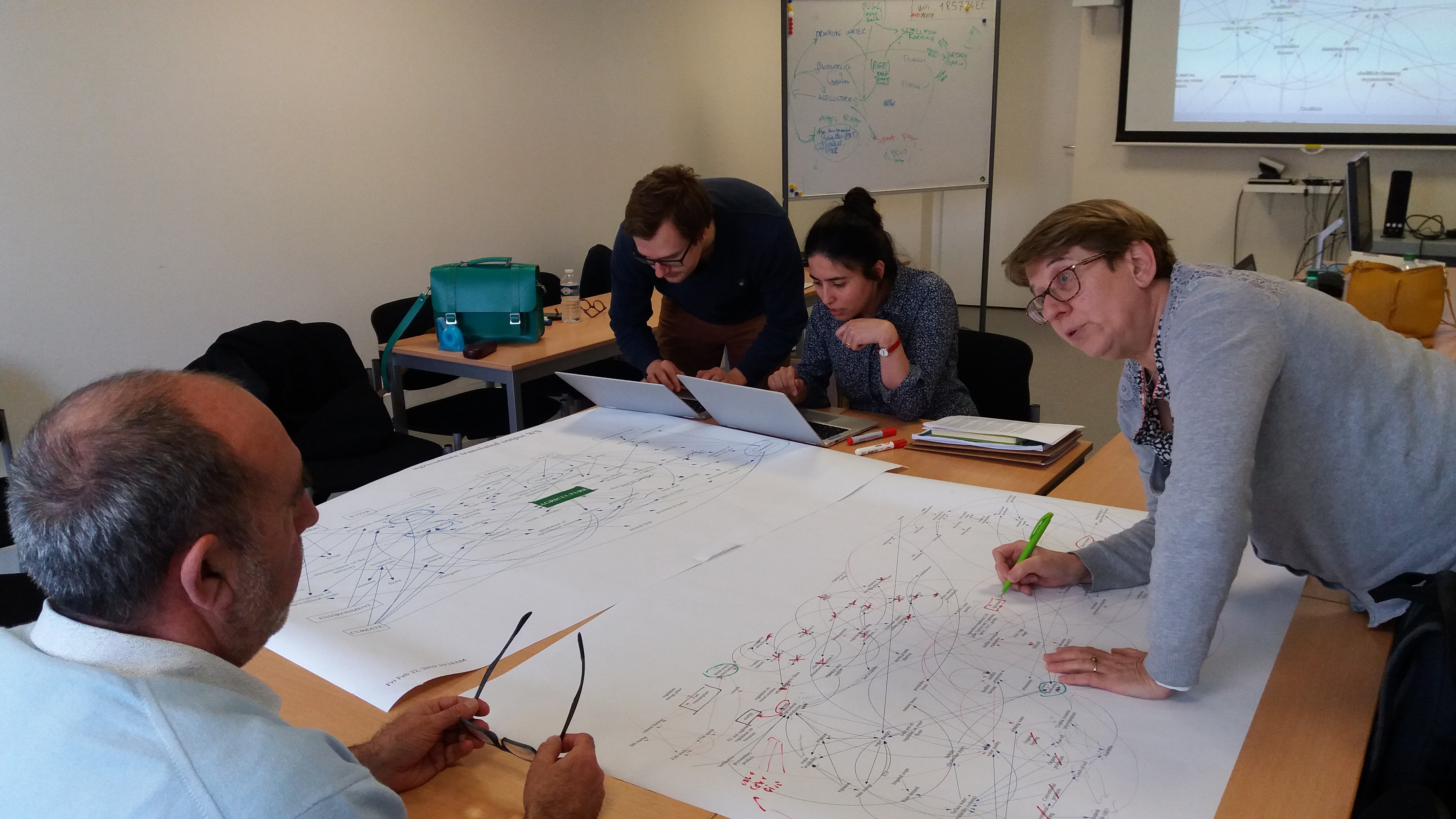 Capturing the underlying dynamics of sector workshops: SINTEF consultation at IRSTEA