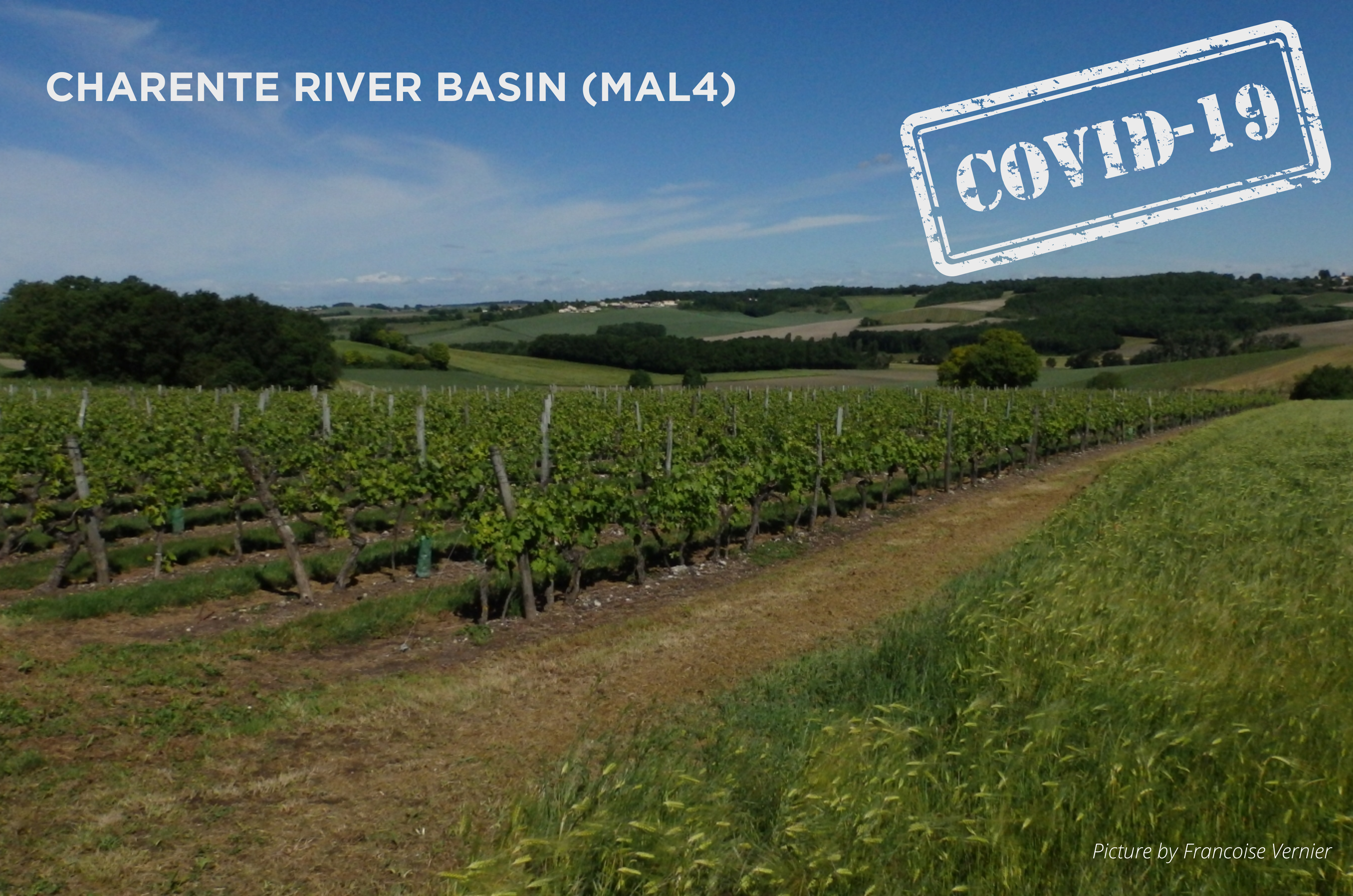 How the economic activities of MAL4 were impacted by COVID-19