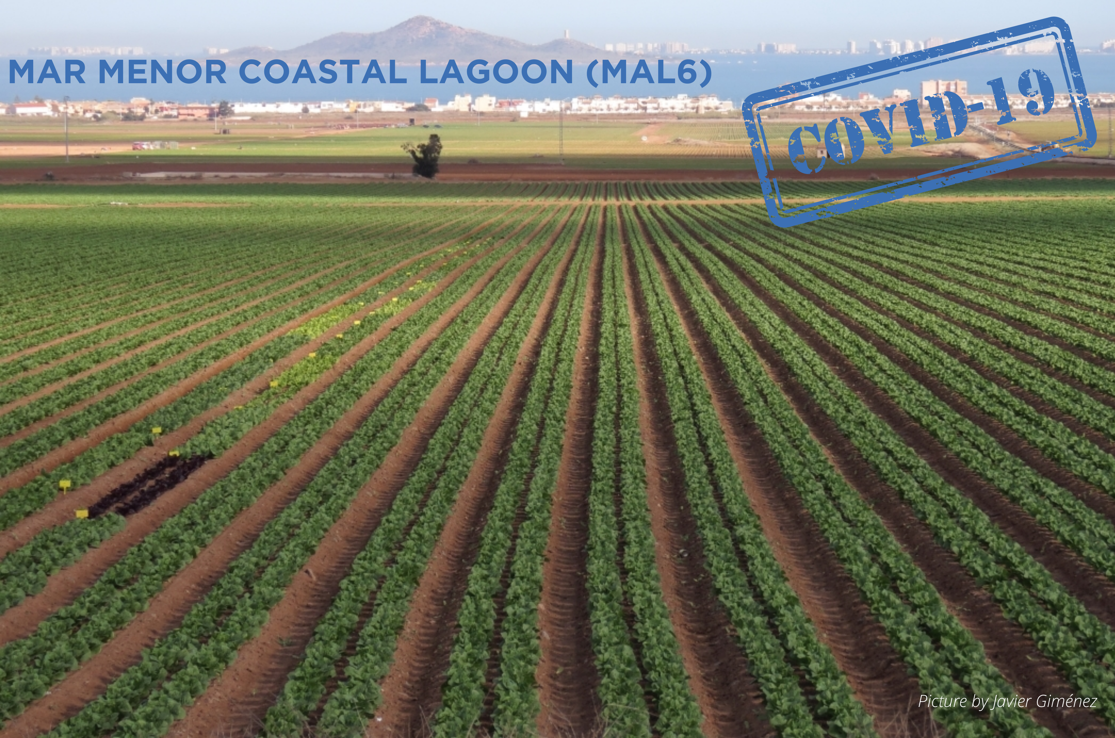 COVID-19 in Spain and in the Murcia Region (MAL6)