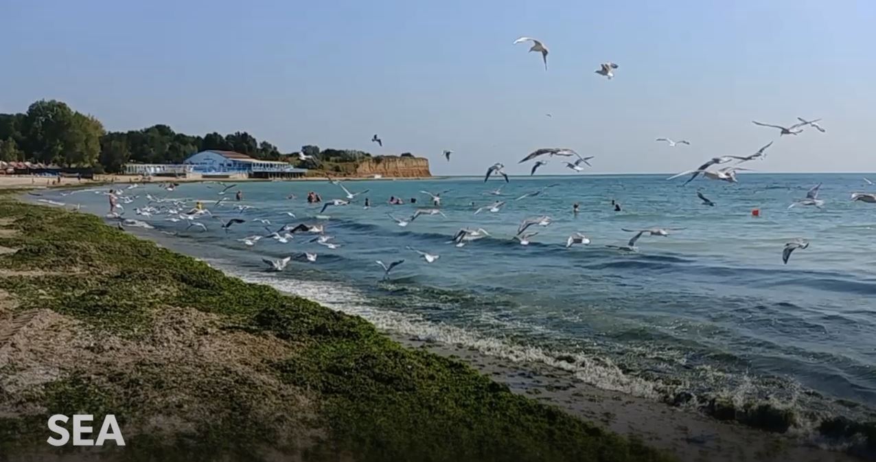 COASTAL H2020: Collaborative Land-Sea Integration Platform